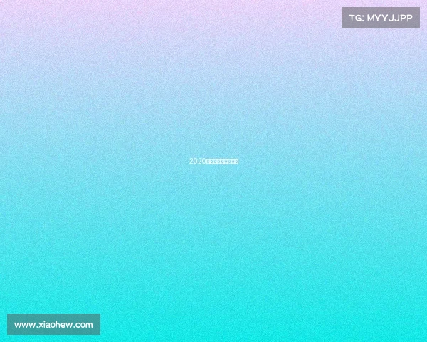 2020年圣诞大战比赛结果