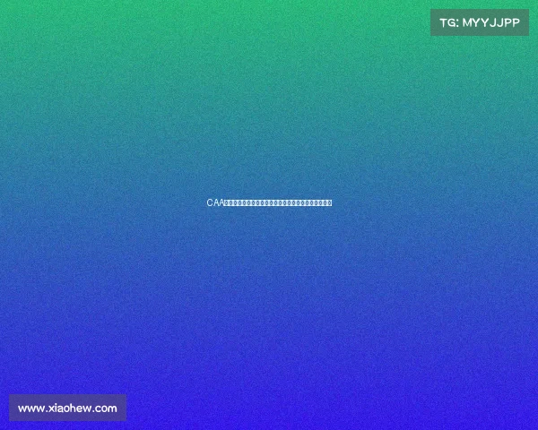 CAA赛事云赋能航空赛事智能化管理新纪元提升效率与体验