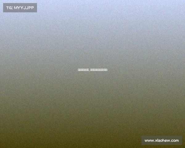 奥迪参加的赛事_奥迪拿过的汽车赛事冠军