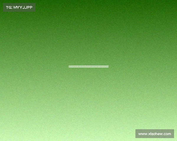 季前赛赛事直播激情开战现场直击王者对决热血竞技等你共享